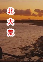 打开西瓜视频